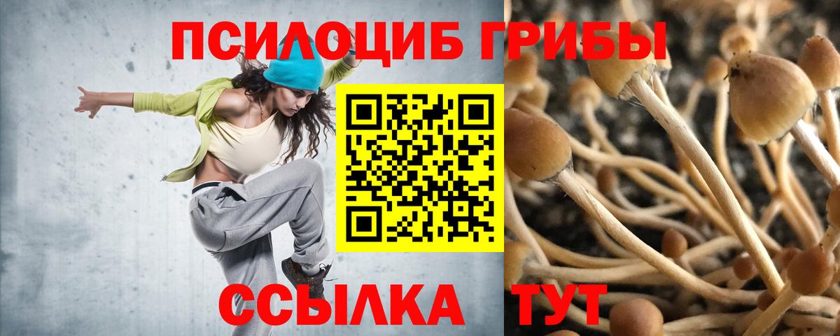 Псилоцибиновые грибы Cubensis Барабинск